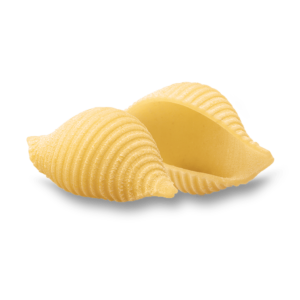 Distributore all’ingrosso Conchiglie rigate 50 De Cecco