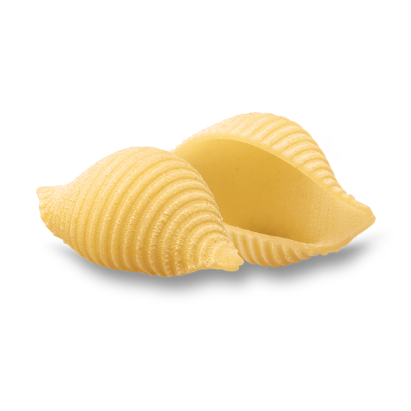 Distributore all’ingrosso Conchiglie rigate 50 De Cecco